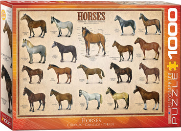 Puzzle Eurographics: 1000 piece Horses