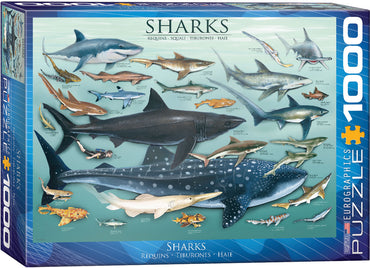 Puzzle Eurographics: 1000 piece Sharks