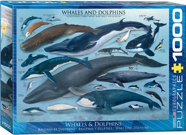 Puzzle Eurographics: 1000 piece Whales & Dolphins
