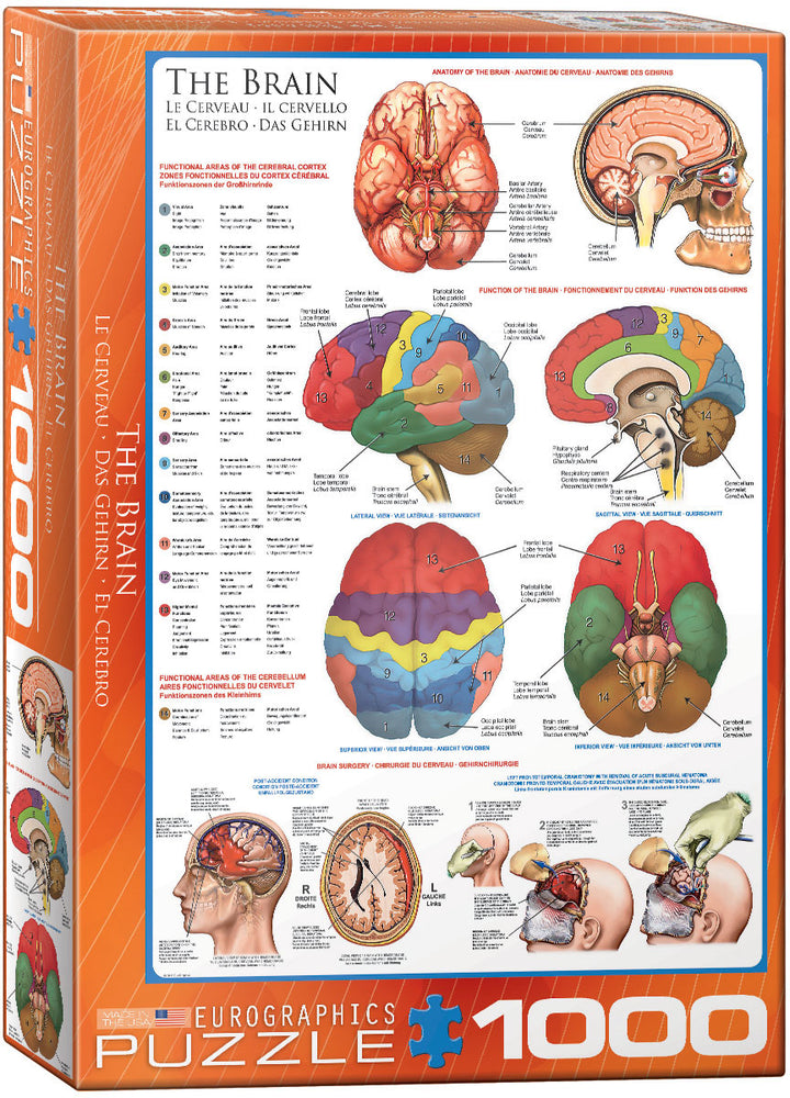 Puzzle Eurographics: 1000 piece The Brain