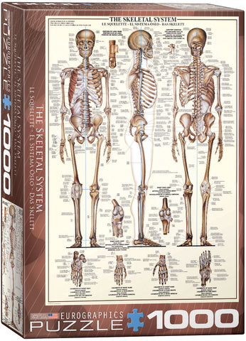 Puzzle Eurographics: 1000 piece The Skeletal System