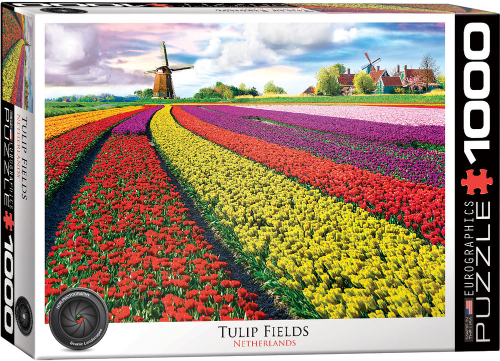Puzzle Eurographics: 1000 piece Tulip Field - Netherlands