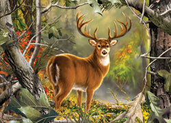 Puzzle Masterpieces: 1000 Piece RealTree - Backcountry Buck