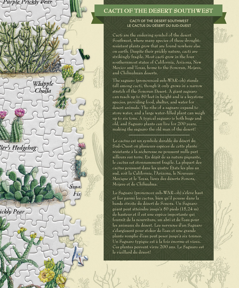 Puzzle Masterpieces: 1000 Piece Poster Art - Cacti of the Desert Southwest