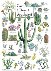 Puzzle Masterpieces: 1000 Piece Poster Art - Cacti of the Desert Southwest