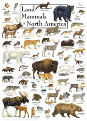 Puzzle Masterpieces: 1000 Piece Field Guide - Land Mammals of North America