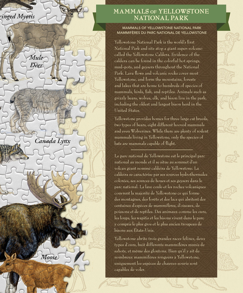 Puzzle Masterpieces: 1000 Piece Field Guide - Mammals of Yellowstone National Park