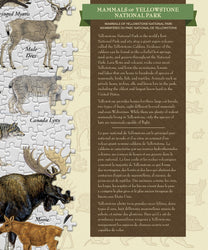 Puzzle Masterpieces: 1000 Piece Field Guide - Mammals of Yellowstone National Park