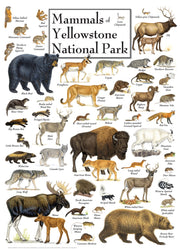 Puzzle Masterpieces: 1000 Piece Field Guide - Mammals of Yellowstone National Park