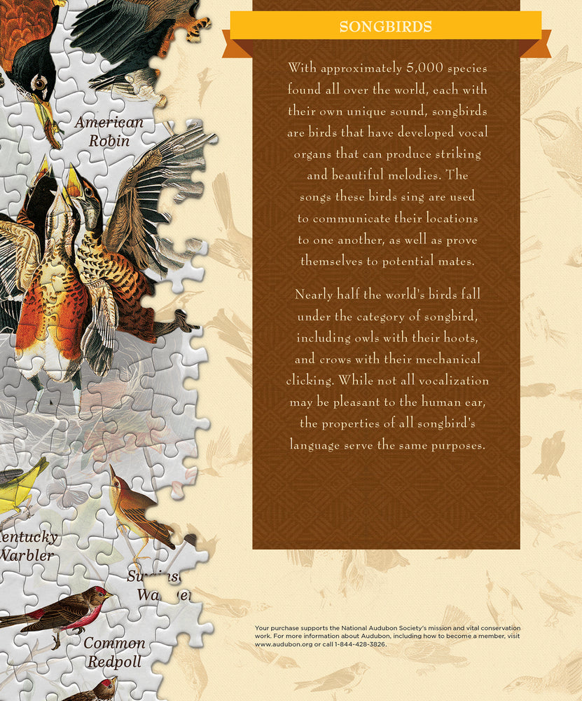 Puzzle Masterpieces: 1000 Piece Audubon - Songbirds