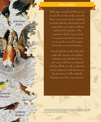 Puzzle Masterpieces: 1000 Piece Audubon - Songbirds