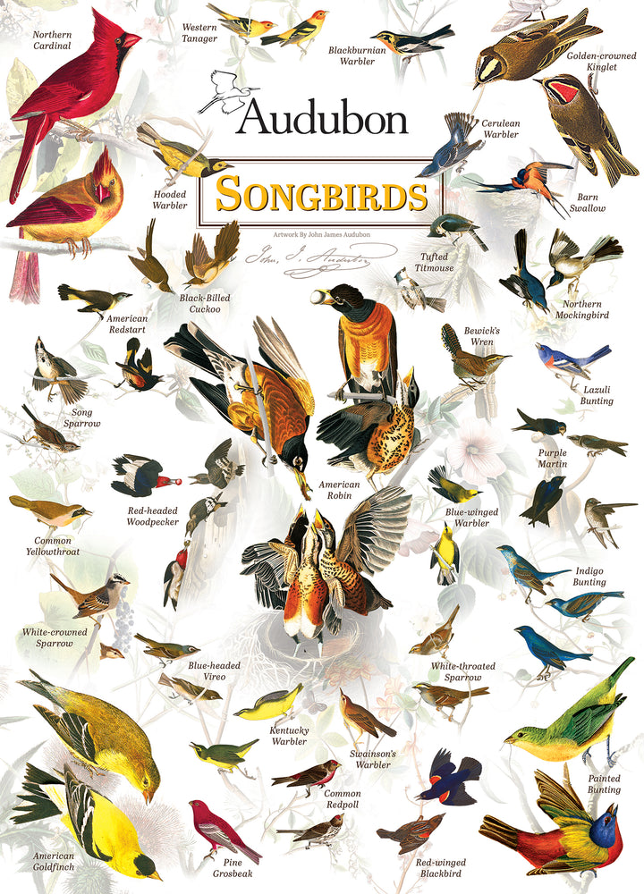 Puzzle Masterpieces: 1000 Piece Audubon - Songbirds