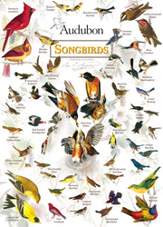 Puzzle Masterpieces: 1000 Piece Audubon - Songbirds