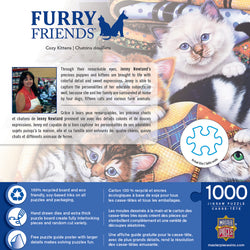 Puzzle Masterpieces: 1000 Piece Furry Friends - Cozy Kittens