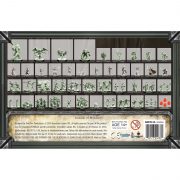 Folklore: Miniatures Box Set