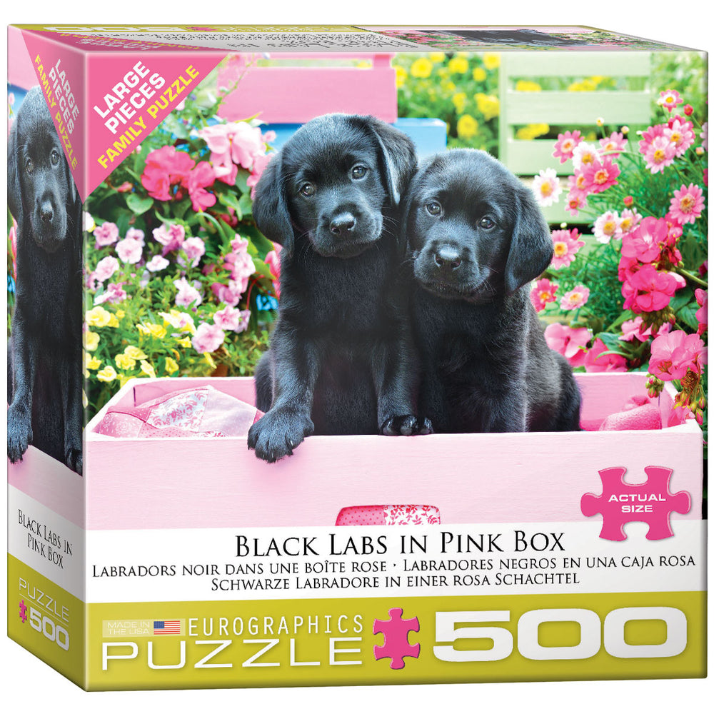 Puzzle Eurographics:  500 large piece Black Labs in Pink Box