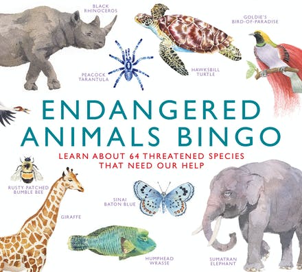 Bingo - Endangered Animals