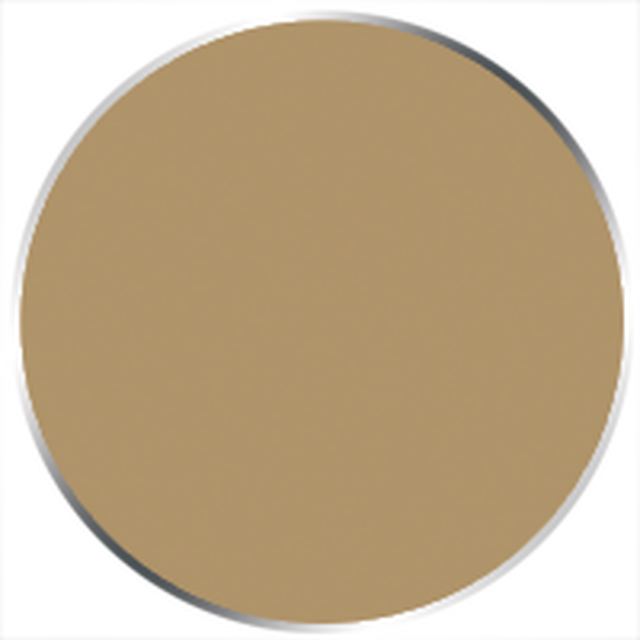 Paint P3: Flesh