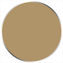 Paint P3: Flesh