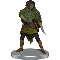 Mini Dungeons & Dragons Icons of the Realms: Dragonlance Warrior Set