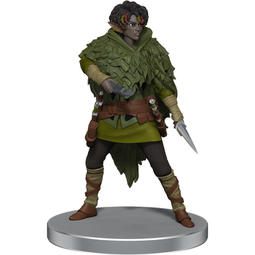 Mini Dungeons & Dragons Icons of the Realms: Dragonlance Warrior Set