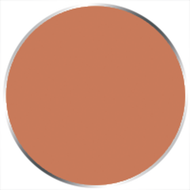 Paint P3: Flesh