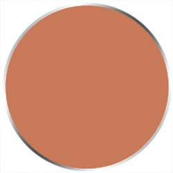 Paint P3: Flesh