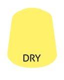 Paint Citadel: Dry
