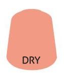 Paint Citadel: Dry