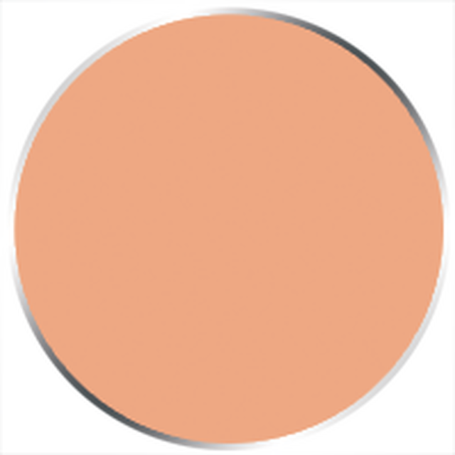 Paint P3: Flesh