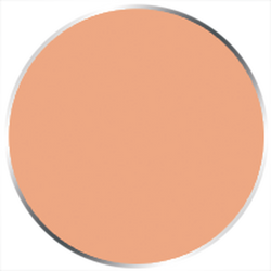 Paint P3: Flesh