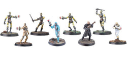 Fallout Wasteland Warfare Institute:  Core box