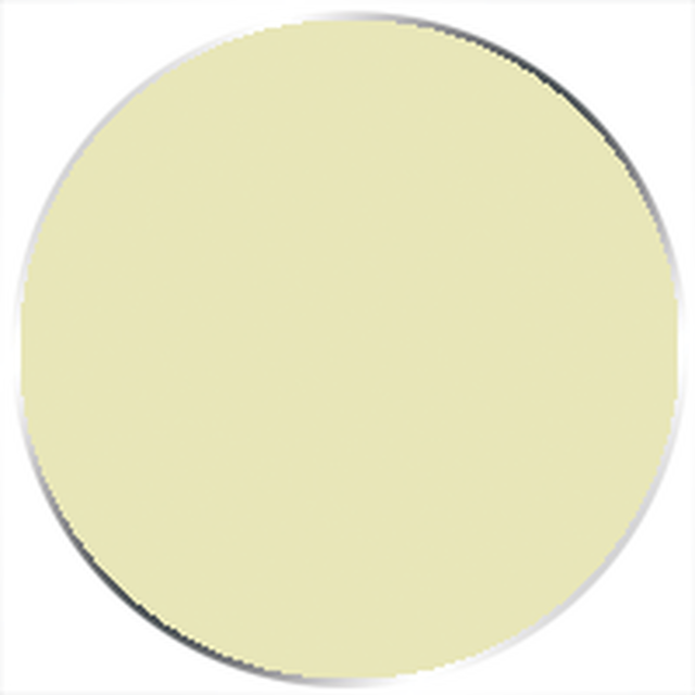 Paint P3: Flesh