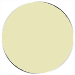 Paint P3: Flesh