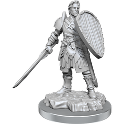 Mini Dungeons & Dragons - Nolzur's Marvelous: Human Fighters