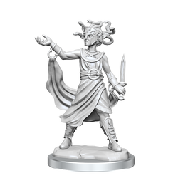 Mini Dungeons & Dragons Frameworks: Medusa