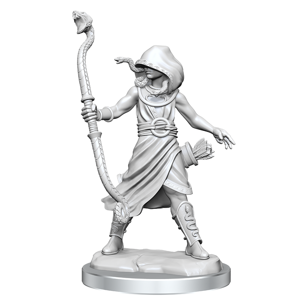 Mini Dungeons & Dragons Frameworks: Medusa