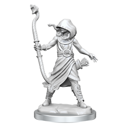 Mini Dungeons & Dragons Frameworks: Medusa