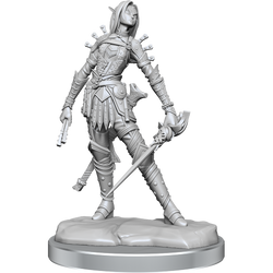 Mini Pathfinder Legendary Cuts: Elf Rogue Female