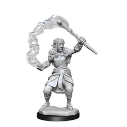 Mini Dungeons & Dragons - Nolzurs Marvelous: Firbolg Druid Female