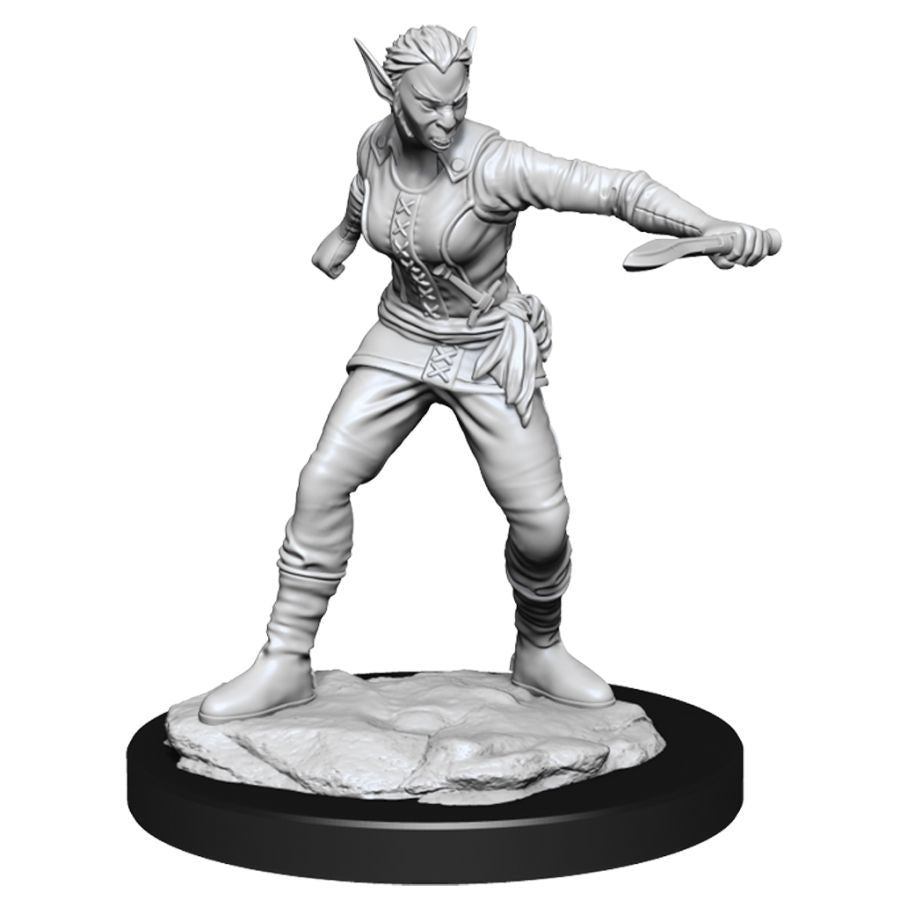 Mini Dungeons & Dragons - Nolzurs Marvelous: Shifter Rogue Female