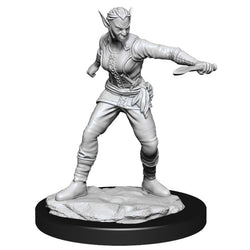 Mini Dungeons & Dragons - Nolzurs Marvelous: Shifter Rogue Female