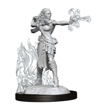 Mini Dungeons & Dragons - Nolzurs Marvelous: Multiclass Warlock Sorcerer Female