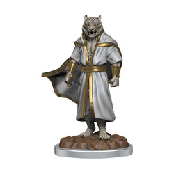 Mini Critical Role: Male Human Sorcerer Merchant & Tiger Demon