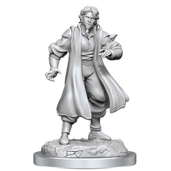 Mini Critical Role: Male Human Sorcerer Merchant & Tiger Demon