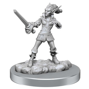 Mini Dungeons & Dragons - Nolzur's Marvelous: Quicklings