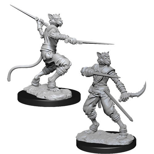 Mini Dungeons & Dragons - Nolzurs Marvelous: Tabaxi Rogue Male