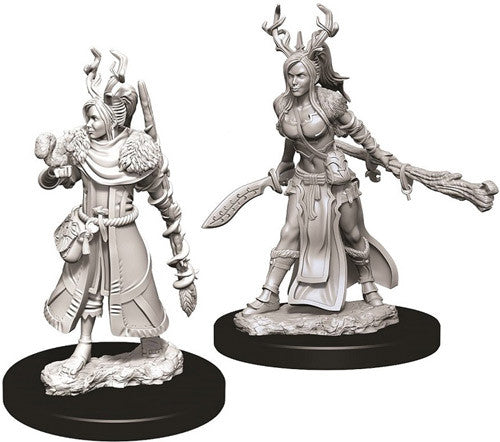 Mini Dungeons & Dragons - Nolzurs Marvelous: Human Druid Female 2
