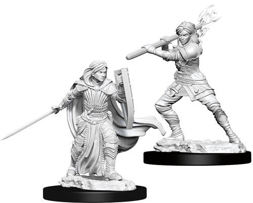 Mini Dungeons & Dragons - Nolzurs Marvelous: Human Paladin Female