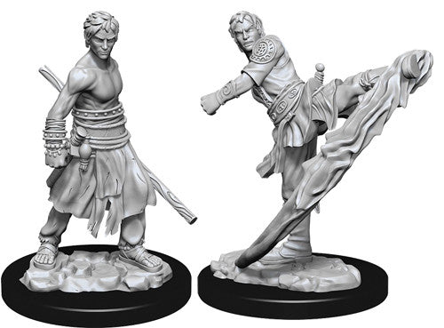 Mini Dungeons & Dragons - Nolzurs Marvelous: Half-Elf Monk Male